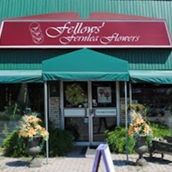 Fellows Fernlea Flowers Ltd | 175 Sunset Dr, St Thomas, ON N5R 3C1, Canada | Phone: (519) 631-3600