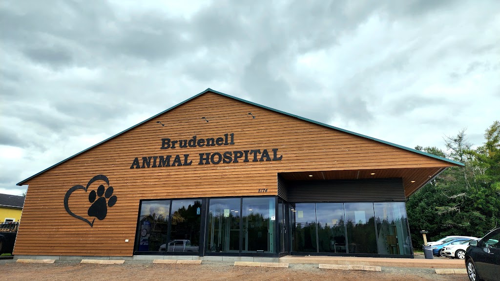 Brudenell Animal Hospital | 5174 Hwy a a MacDonald, Montague, PE C0A 1R0, Canada | Phone: (902) 838-2276