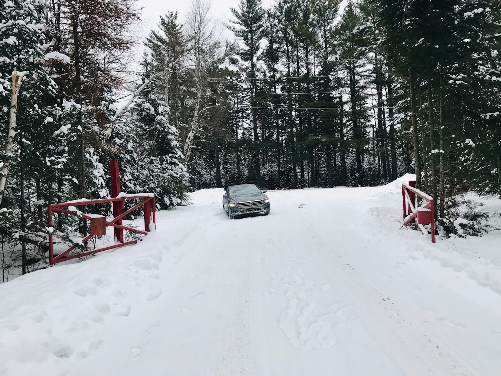 Moose Bog Trail lot | 05846 VT-105, Island Pond, VT 05846, USA