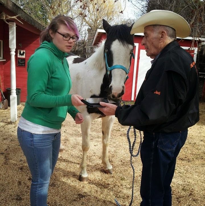 AllPoint Tack N Therapy | 51119 Range Rd 240, Leduc County, AB T4X 0M7, Canada | Phone: (780) 722-3022