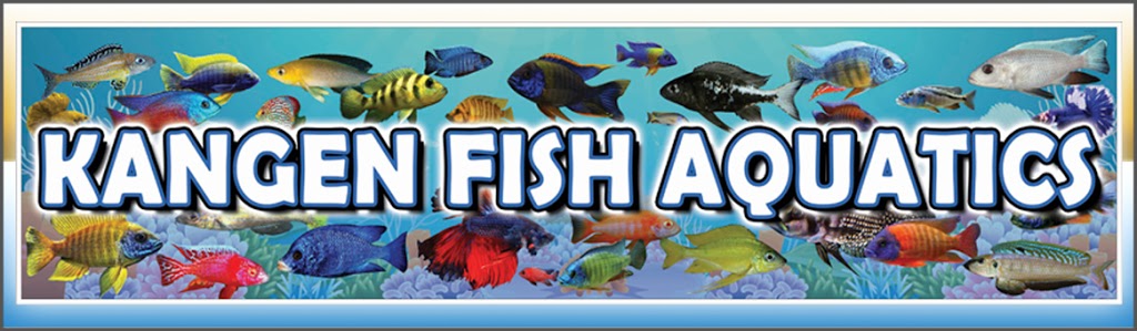 Kangen Fish Aquatics | 35 King St E Unit 15, Mississauga, ON L5A 4E1, Canada | Phone: (905) 270-9999