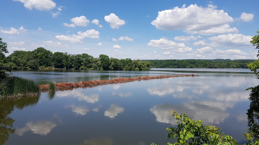 Hamilton Harbour Waterfront Trail | Waterfront Trail, Hamilton, ON L8L 1C8, Canada