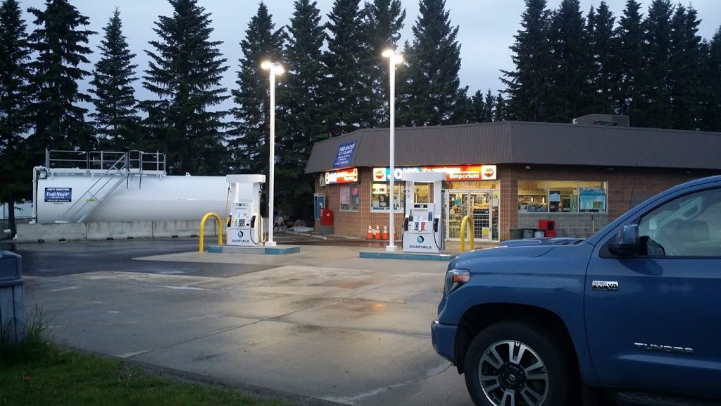 Joko Convenience | 502 Centre St N, James River Bridge, AB T0M 1C0, Canada | Phone: (403) 638-2730