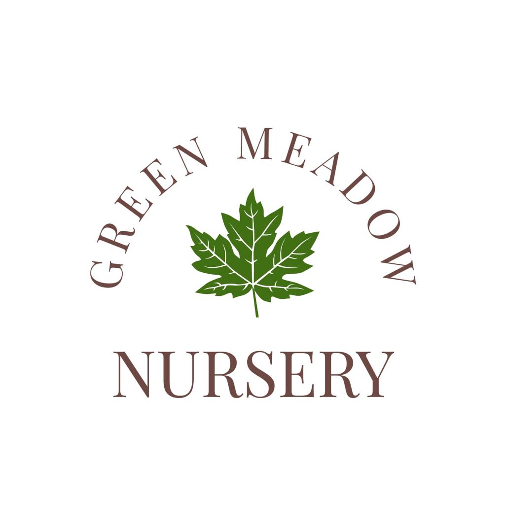 Green Meadow Nursery | 8536 Deroche Landing Rd, Deroche, BC V0M 1G0, Canada | Phone: (604) 615-3894