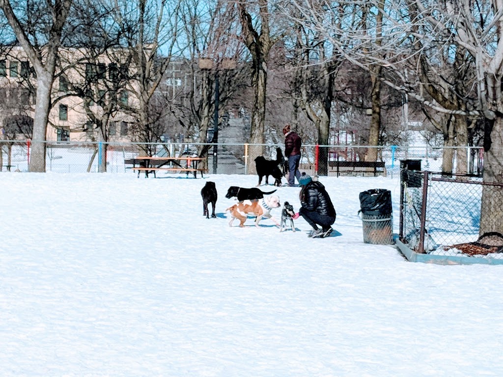 Sault-au-Récollet dog park | 13070 Avenue Charton, Montréal, QC H2B 2E1, Canada | Phone: (514) 743-5735