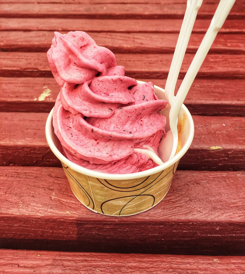 Timothys Frozen Yogurt Ltd | 3800 Bayview St, Richmond, BC V7E 5W3, Canada | Phone: (604) 275-7547