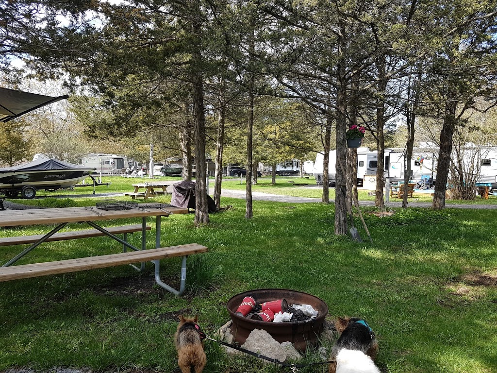 Pickerel Park RV Resort | 665 S Shore Rd, Napanee, ON K7R 3K7, Canada | Phone: (613) 373-2812