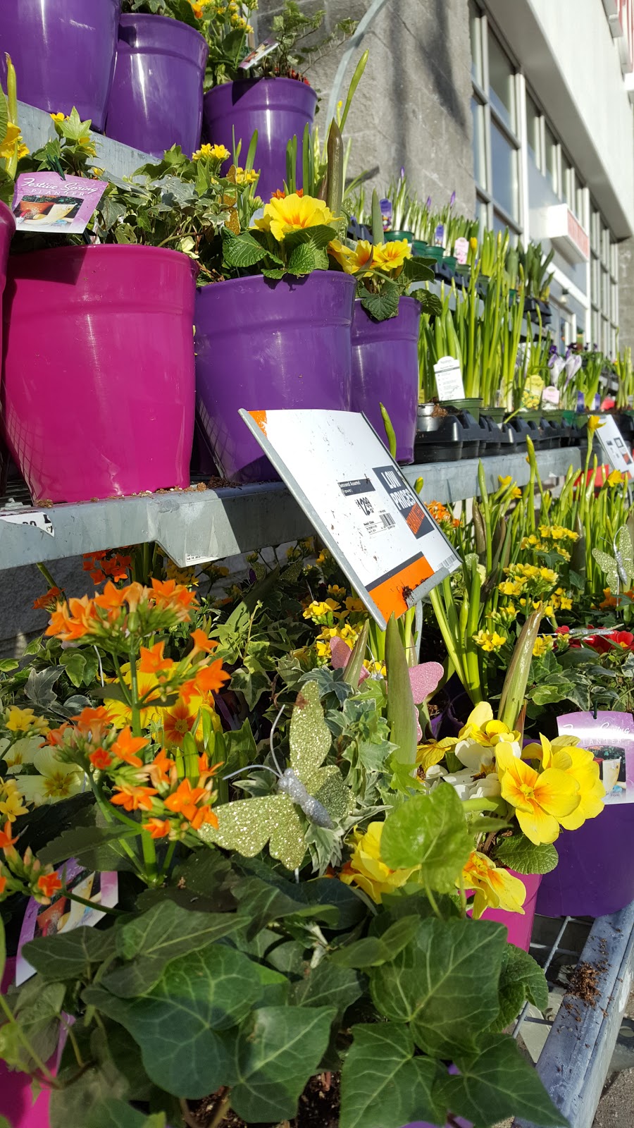 The Home Depot Garden Center | 2525 160 St, Surrey, BC V3S 0C8, Canada | Phone: (604) 542-3520