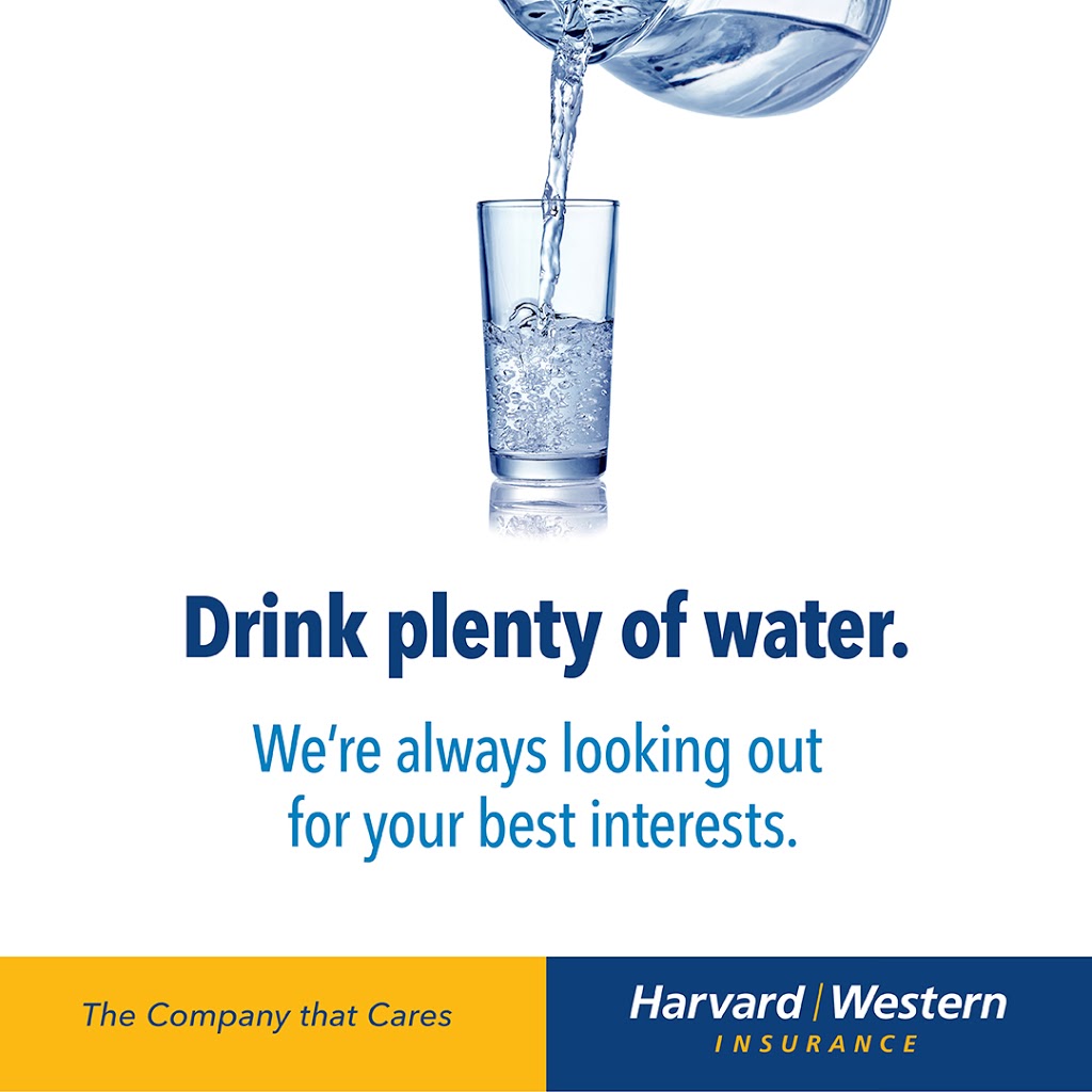 Harvard Western Insurance | 109 Souris St, Yellow Grass, SK S0G 5J0, Canada | Phone: (306) 465-2565