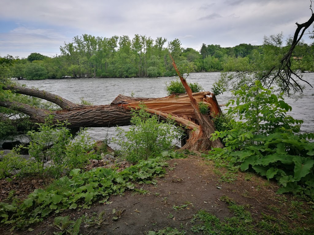 Parc des rapides | 52 Rue de Richelieu, Chambly, QC J3L 2C3, Canada