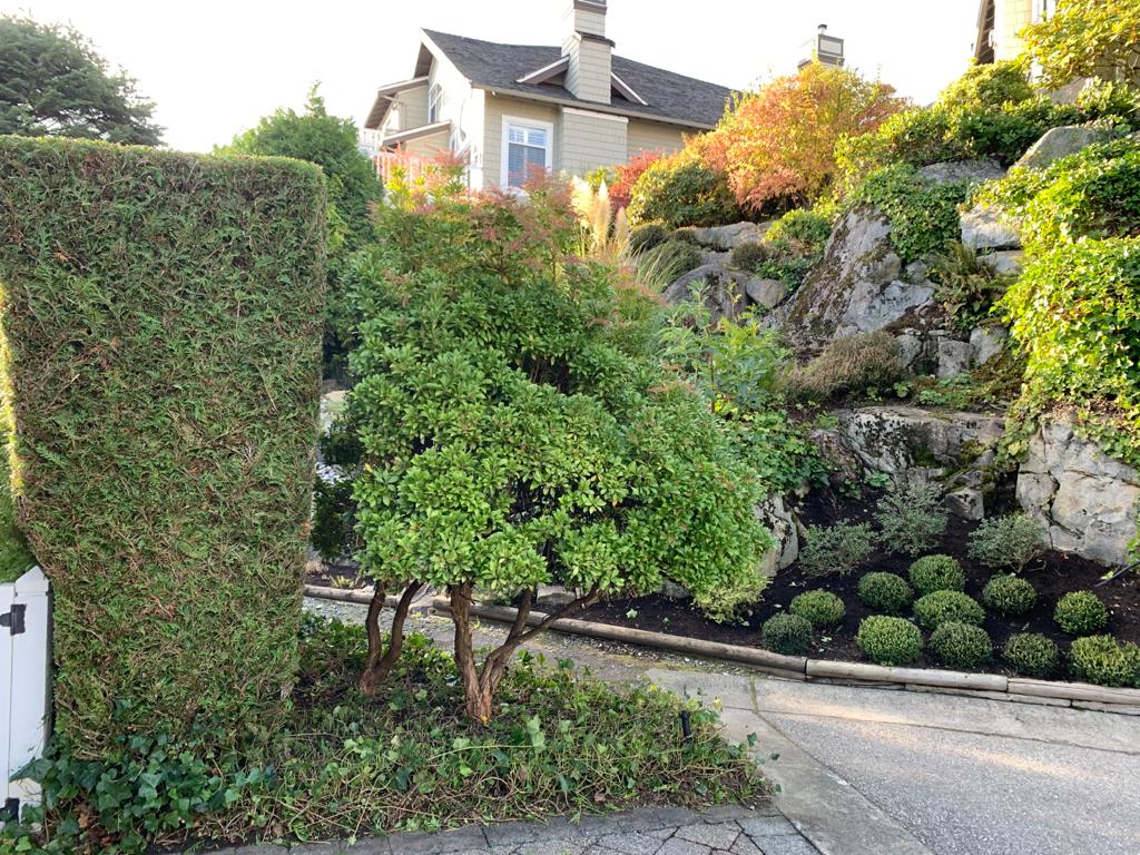 Belleview Landscaping and Design | 2253 Bellevue Ave, West Vancouver, BC V7V 1C5, Canada | Phone: (604) 802-4694