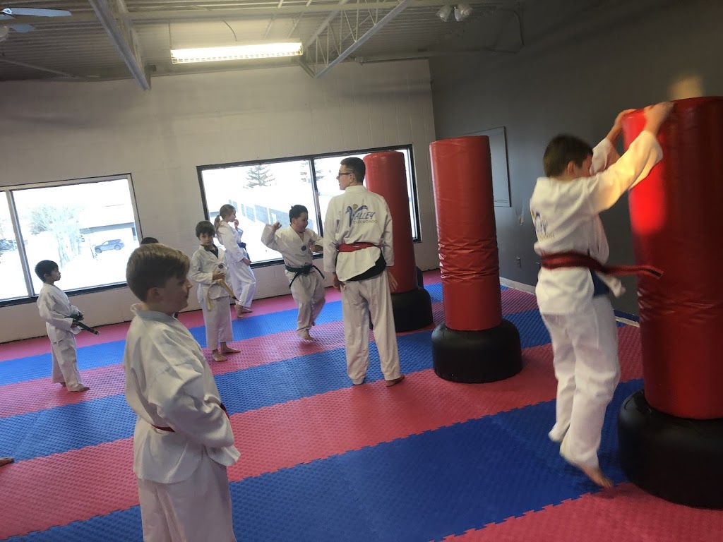 Valley Taekwondo | 321 A Kaska Rd, Sherwood Park, AB T8A 4E9, Canada | Phone: (780) 995-5632