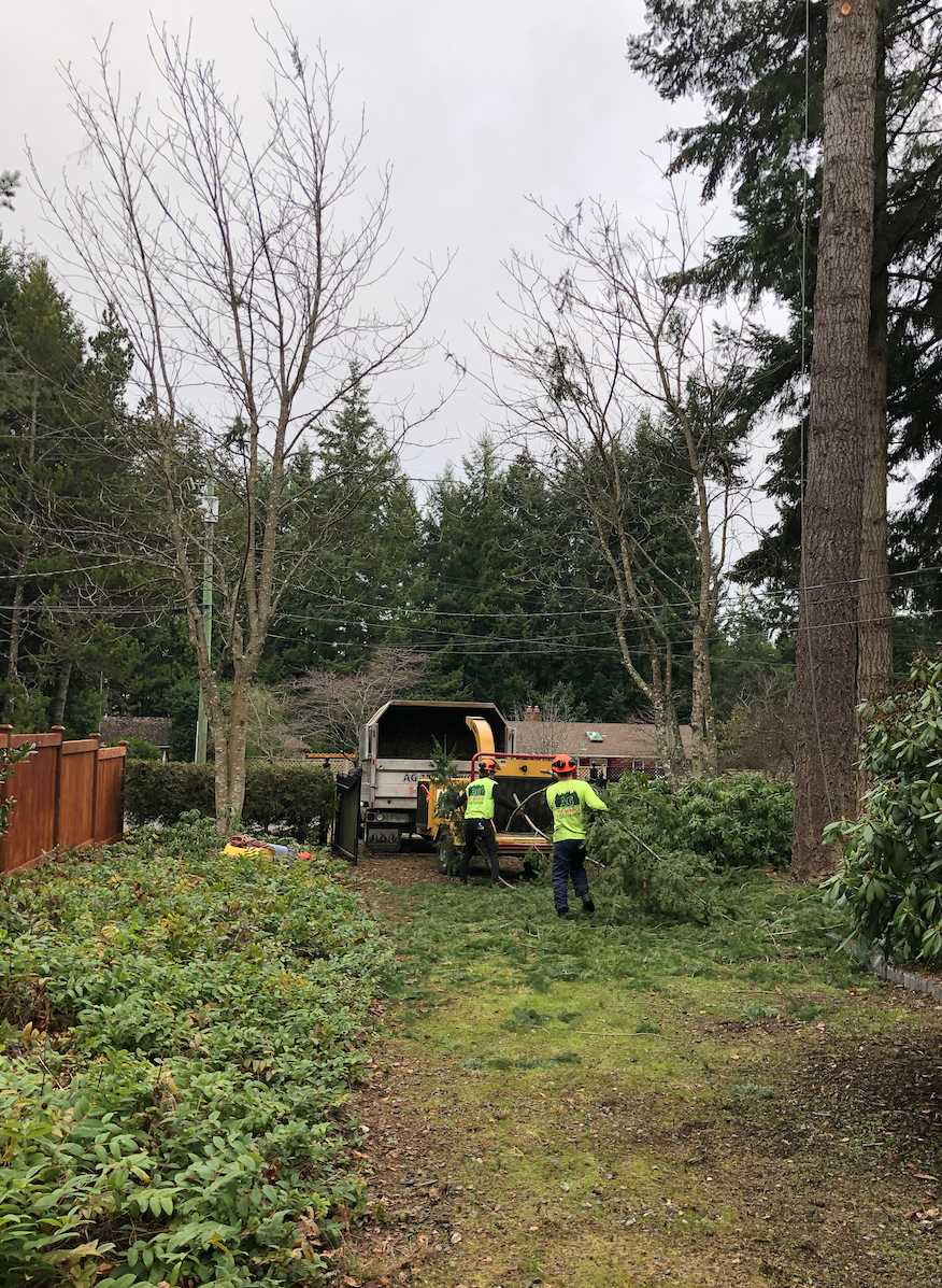 AG Tree Service | 775 Barclay Crescent, Parksville, BC V9P 1Z3, Canada | Phone: (250) 714-8454