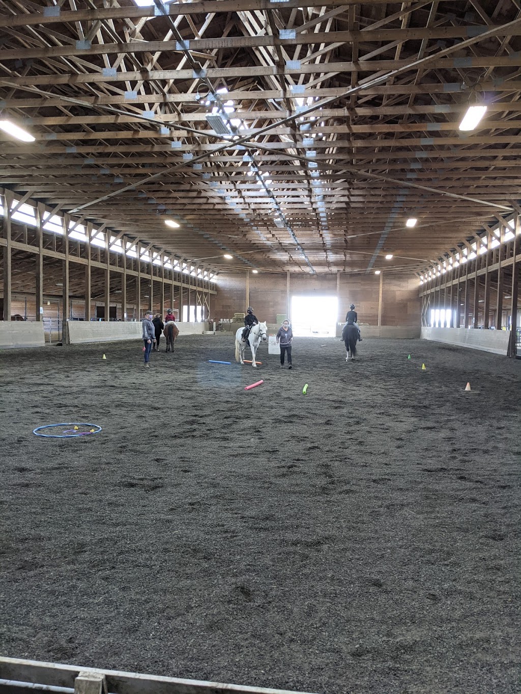 Pony Pals Therapeutic Riding Assn | 3885 96 St, Delta, BC V4K 3N3, Canada | Phone: (604) 590-0097