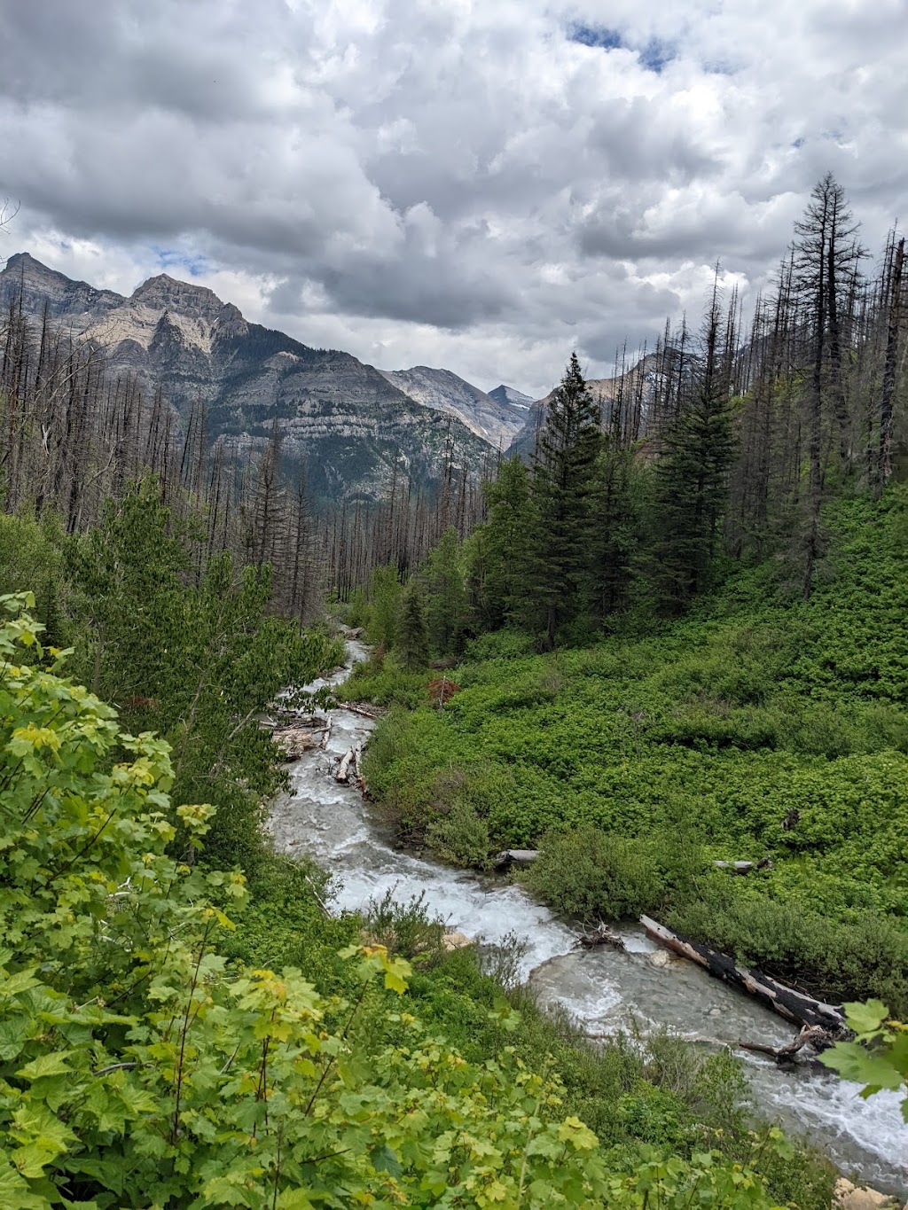 Bertha Trailhead | Waterton Park, AB T0K 2M0, Canada | Phone: (403) 859-5133