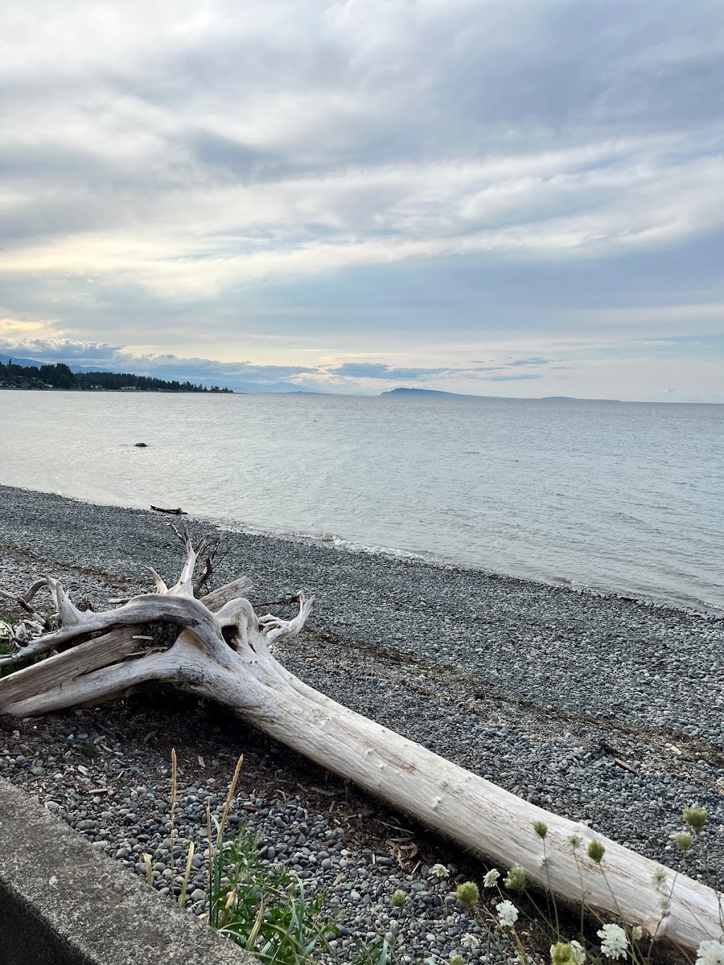 Baynes Sound Rest Area | 6428 Island Hwy S, Fanny Bay, BC V0R 1W0, Canada | Phone: (800) 663-7867