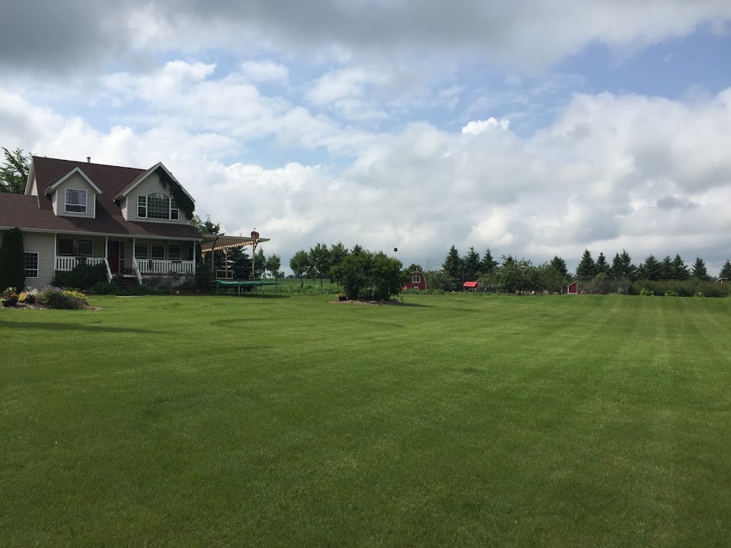 Red Barn Berries Central Alberta U-Pick | 28413, Township Rd 392, AB T4E 1C8, Canada | Phone: (403) 550-8909