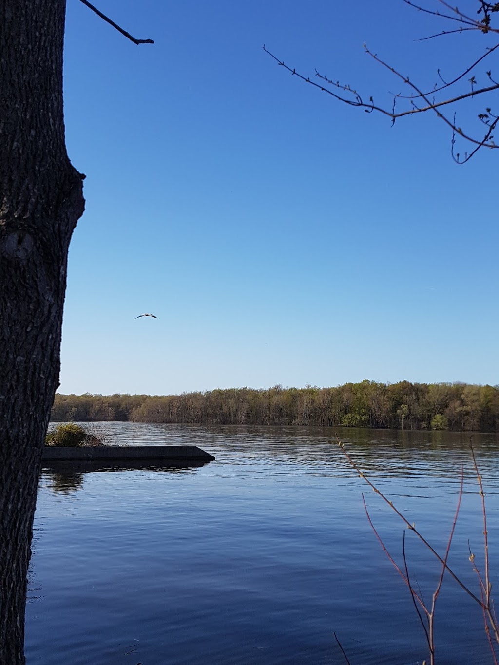 Halte riveraine municipale | Boulevard du Domaine, Notre-Dame-de-lÎle-Perrot, QC J7V 7P2, Canada