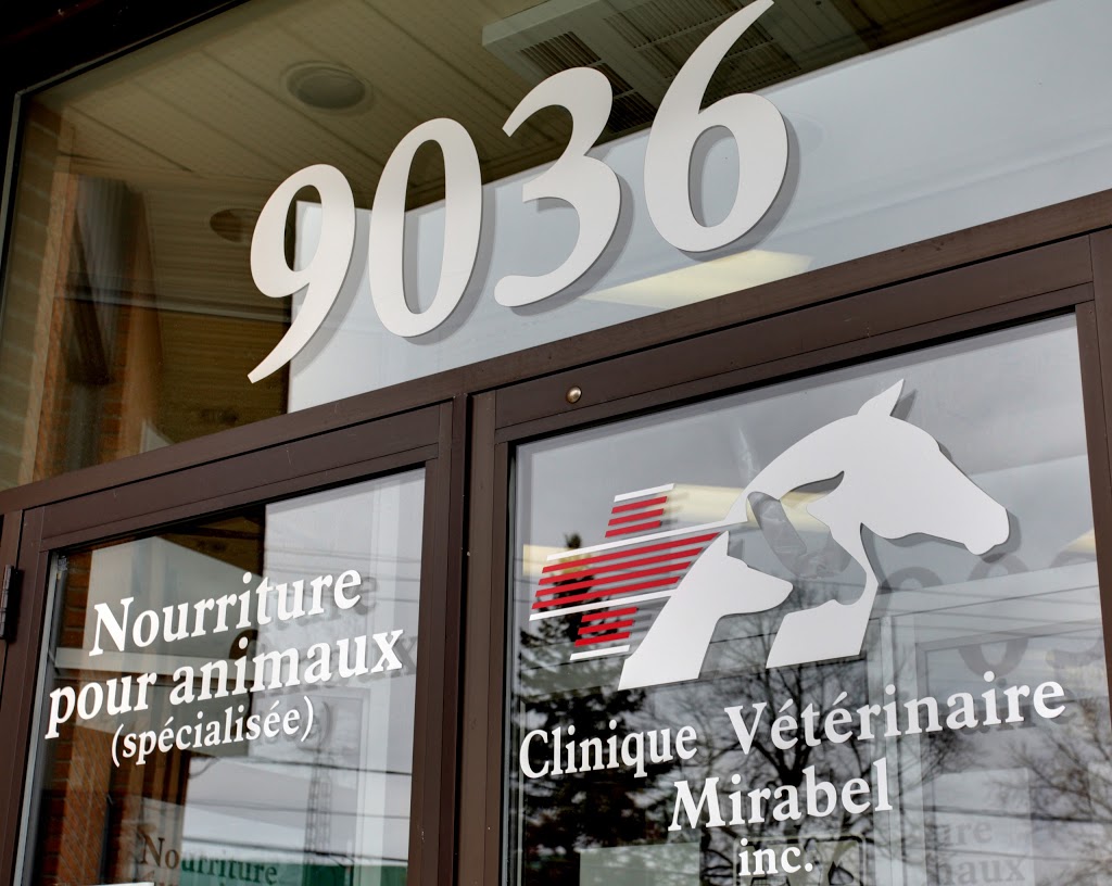 Clinique Vétérinaire Mirabel inc. | Mirabel, QC J7N 2P6, Canada | Phone: (450) 258-3202