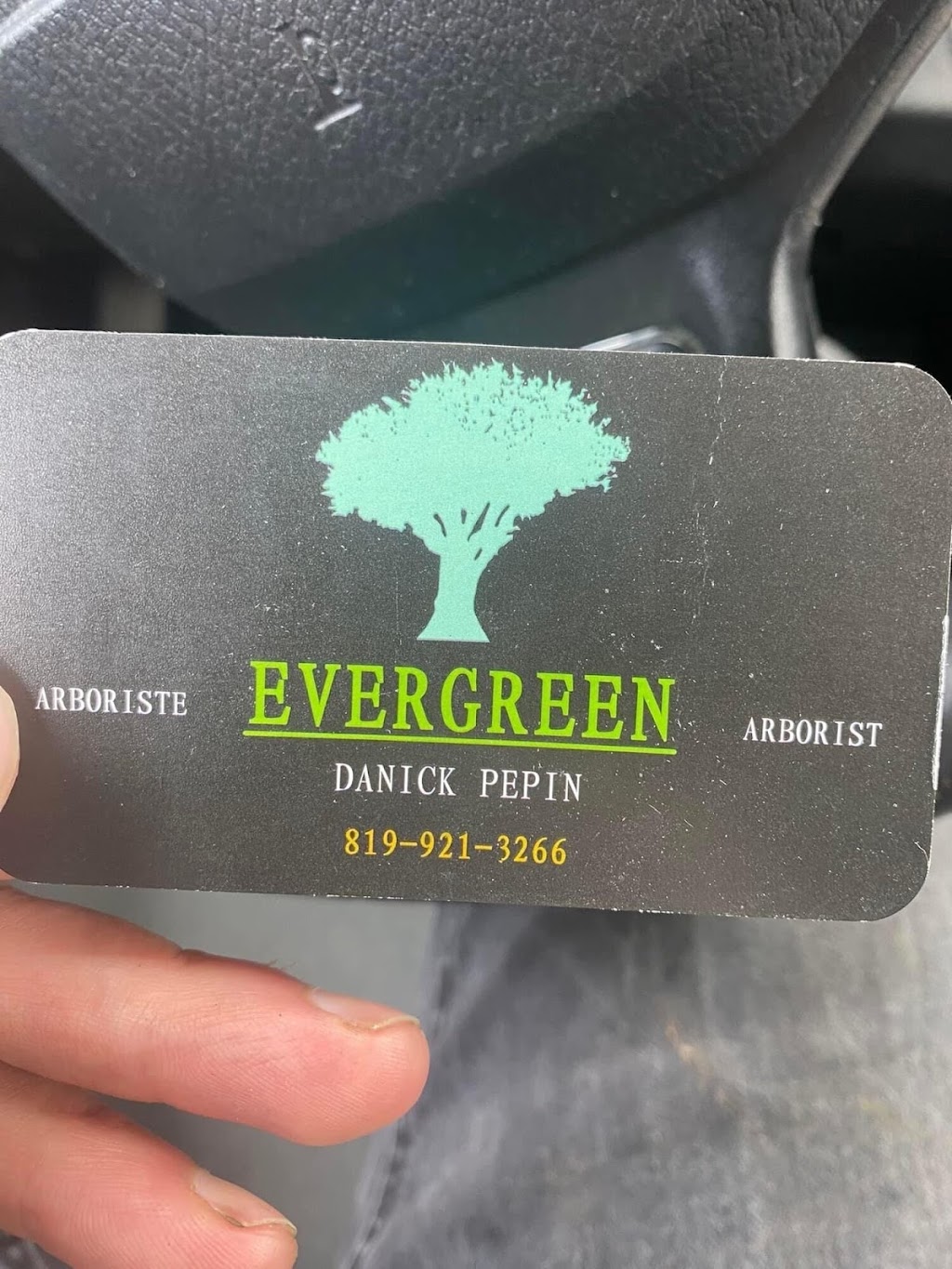 Arborist Evergreen | 16 Nature Ln, Chalk River, ON K0J 1J0, Canada | Phone: (819) 921-3266