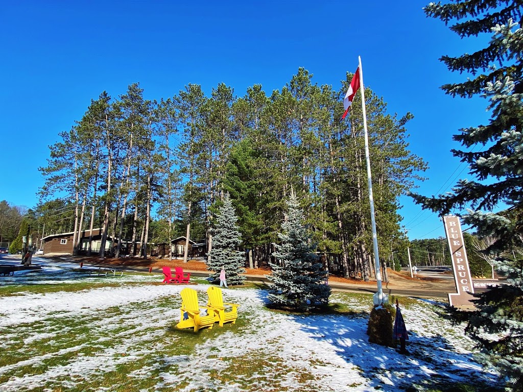 Blue Spruce Resort | 4308 ON-60, Dwight, ON P0A 1H0, Canada | Phone: (705) 635-2330