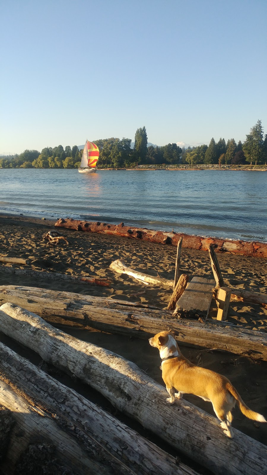 Pirates Cove / McDonald Beach | Richmond, BC, Canada