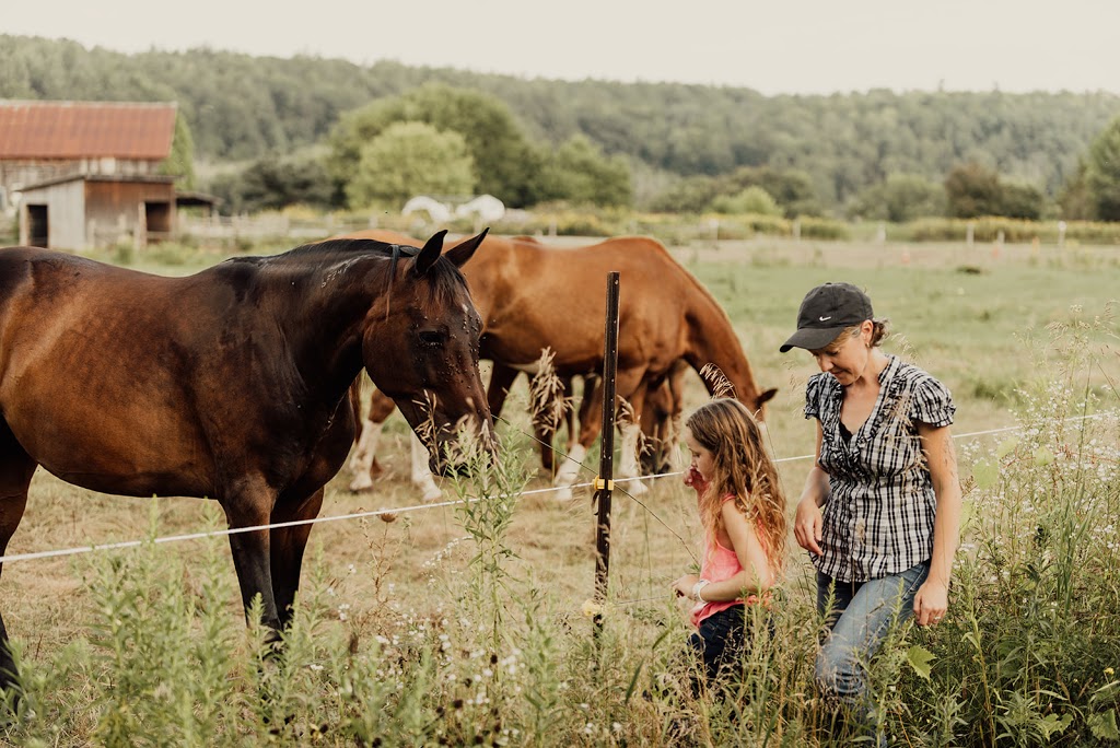 Robins Nest Farm | 32 Goacher Rd, Campbellford, ON K0L 1L0, Canada | Phone: (705) 632-9304