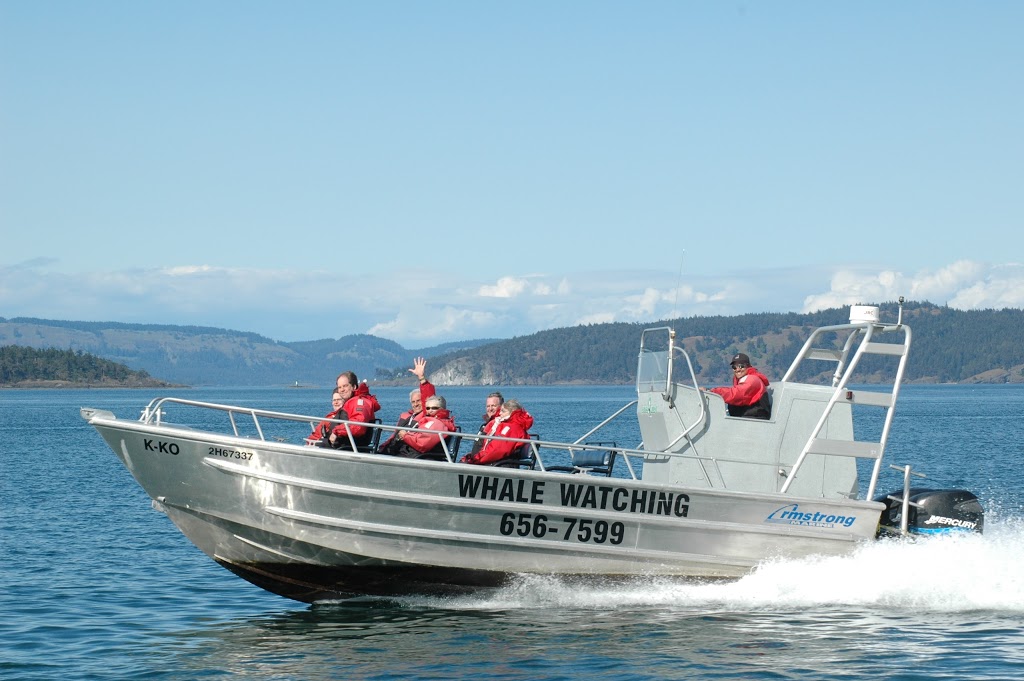 Sidney Whale Watching | 2537 Beacon Ave, Sidney, BC V8L 1Y2, Canada | Phone: (250) 656-7599