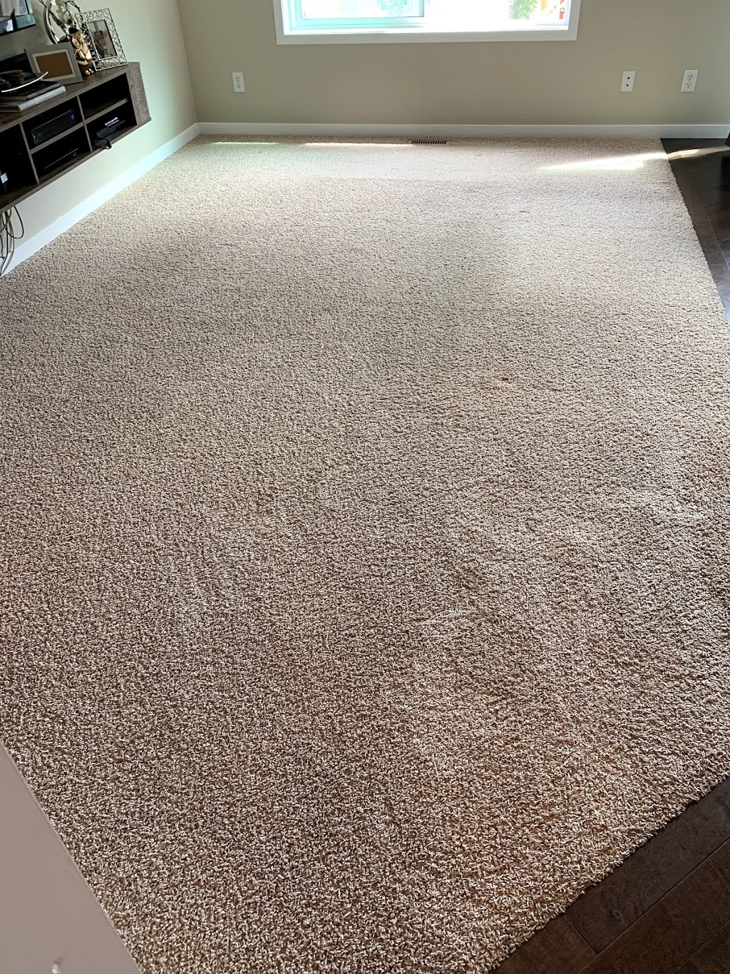 Dang Good Carpet and Furnace Cleaning | 1935 30 Ave NE Unit 2, Calgary, AB T2E 6Z5, Canada | Phone: (403) 984-3680