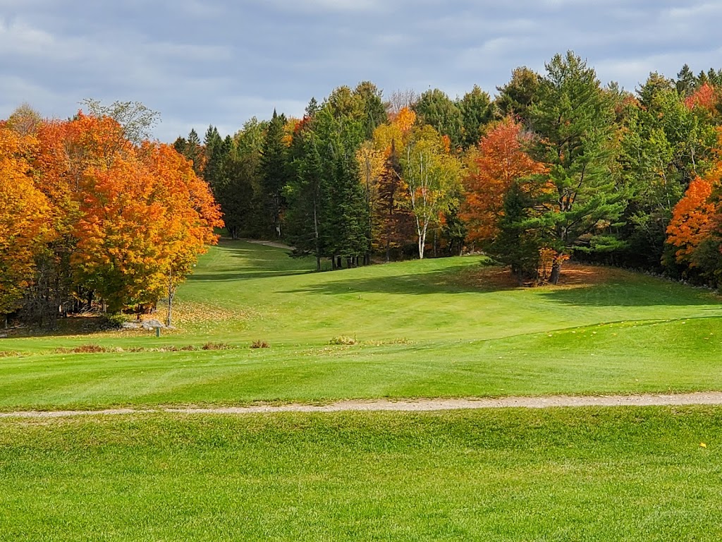 Golf Oasis | 424 Rte du N, Brownsburg, QC J8G 1L6, Canada | Phone: (450) 562-1094