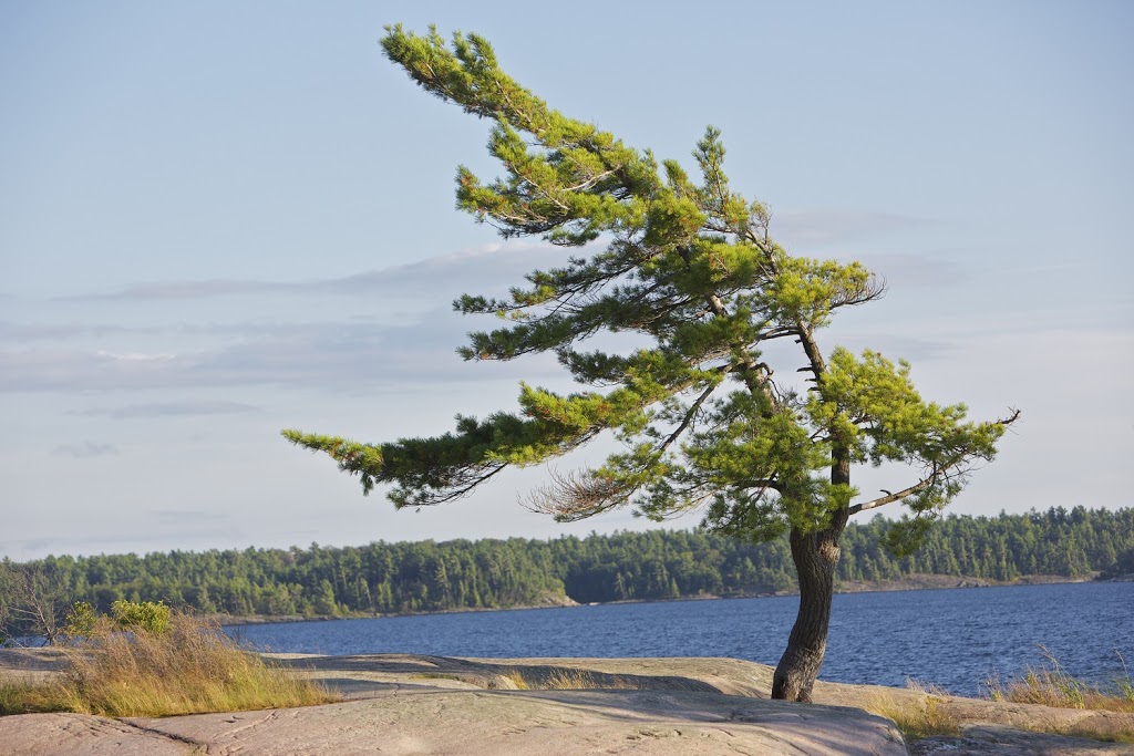 Killbear Provincial Park | 35 Eddie Ramsay Parkway, Nobel, ON P0G 1G0, Canada | Phone: (705) 342-5492