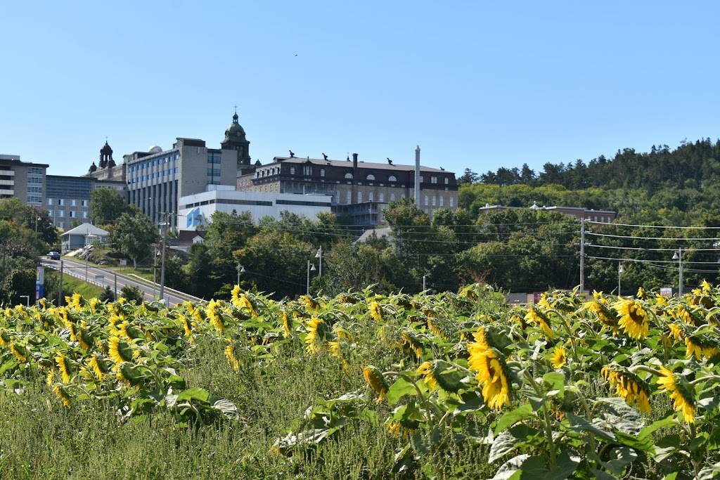 Bibliothèque François-Hertel | 140 4e Avenue Painchaud, La Pocatière, QC G0R 1Z0, Canada | Phone: (418) 856-1525