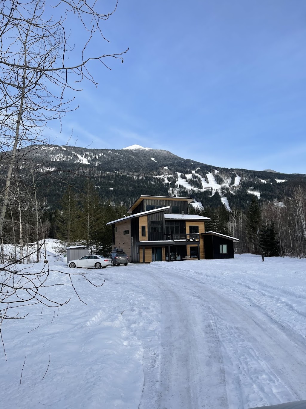 Arrows Edge Lodge | 3108 Airport Way, Revelstoke, BC V0E 2S3, Canada | Phone: (778) 252-8433