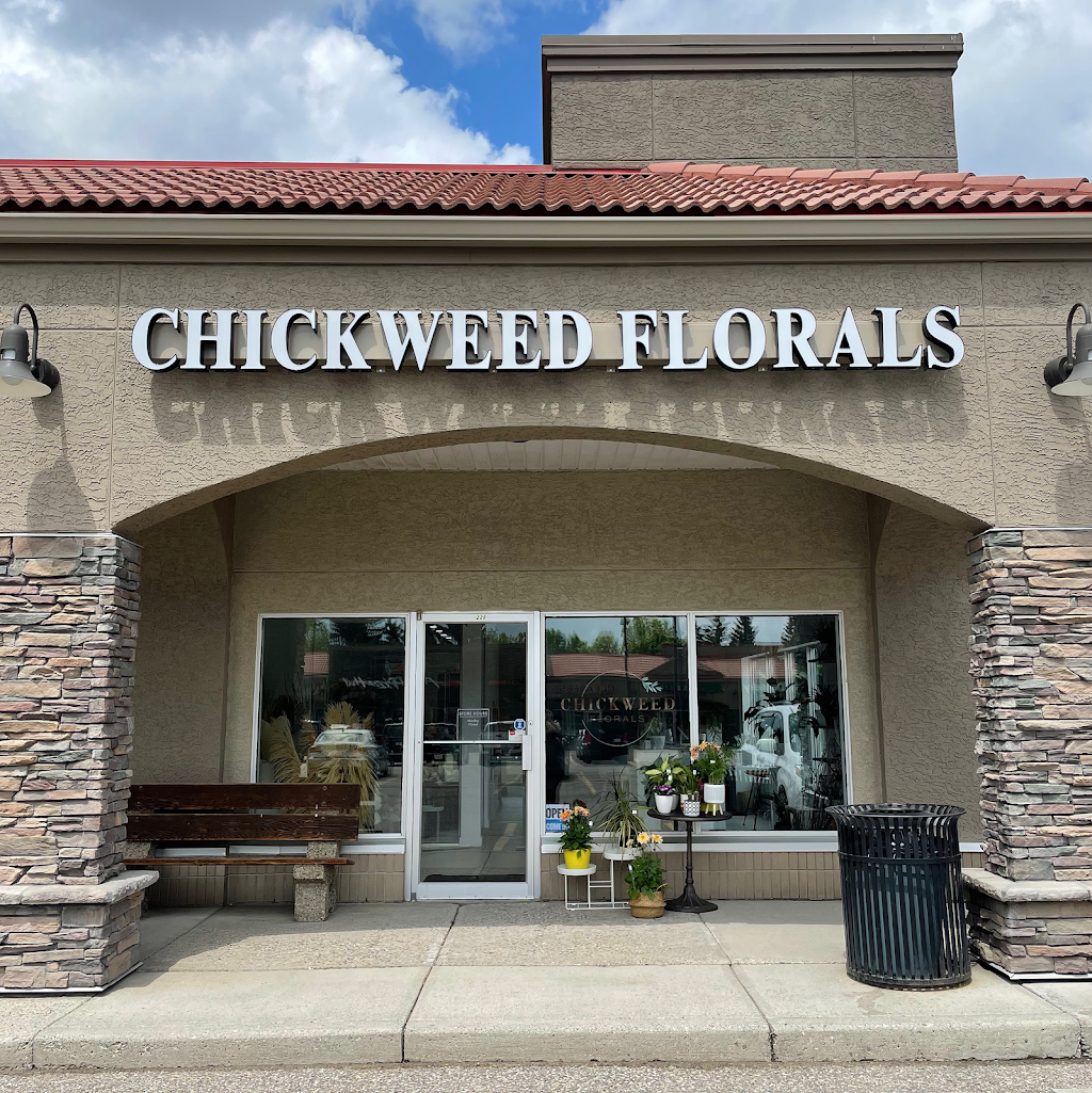 Chickweed Florals | 1919 Sirocco Dr SW #228, Calgary, AB T3H 2Y3, Canada | Phone: (403) 237-7580