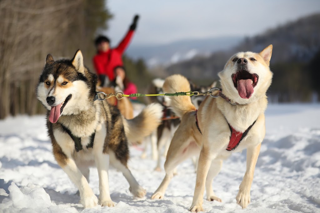 Le Centre dActivités Mont-Tremblant Activity Centre | 118 Chemin de Kandahar, Mont-Tremblant, QC J8E 1T1, Canada | Phone: (819) 681-4848