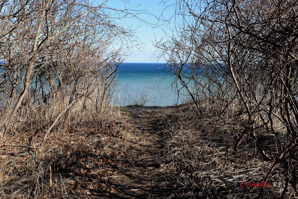 Scarborough Heights Park Off Leash Dog Park | Cliffside, Toronto, ON M1N 1H1, Canada