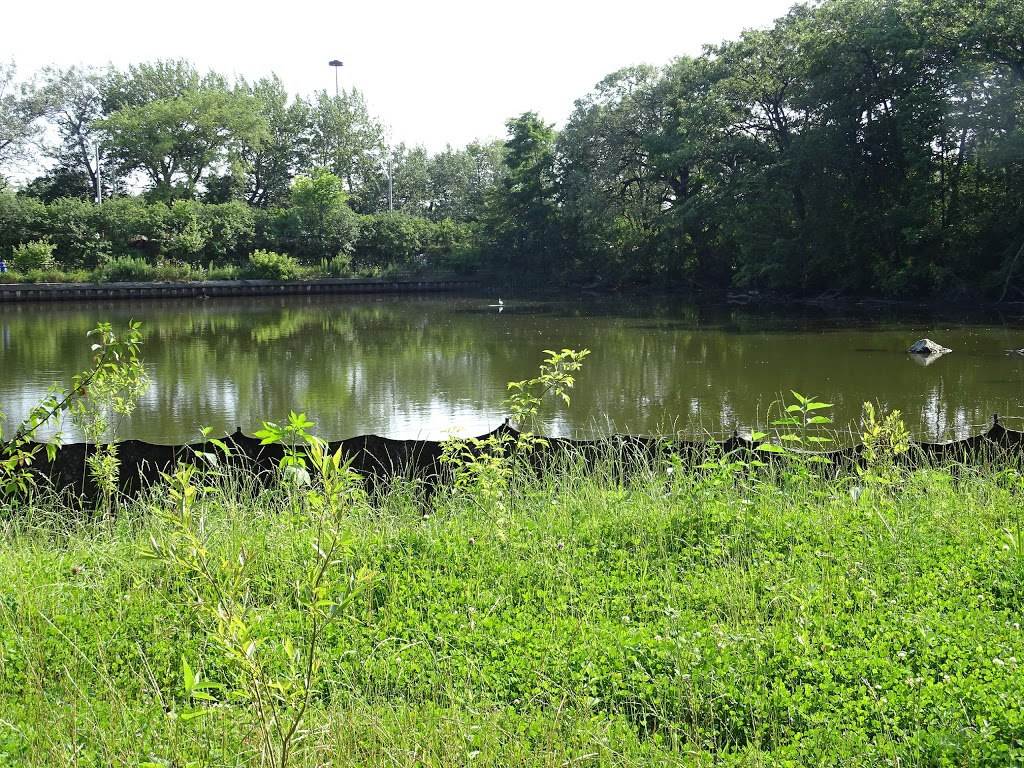 Spring Creek Nature Trails | High Park Gardens, Toronto, ON M6R 1S9, Canada