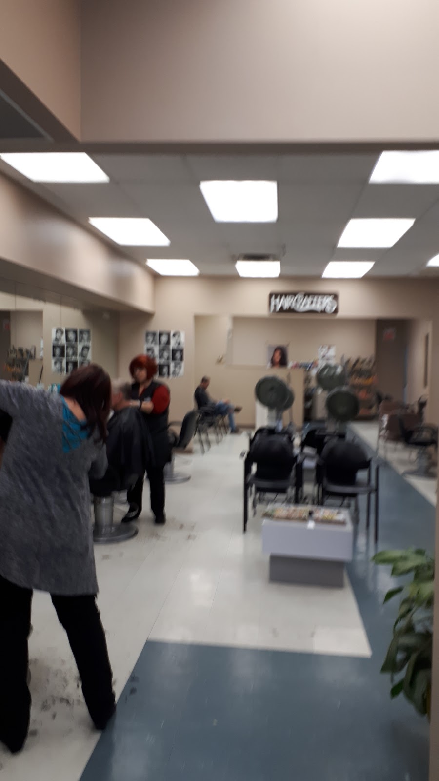 Haircrafters | 677 Mohawk Rd E, Hamilton, ON L8V 2K6, Canada | Phone: (905) 389-9848