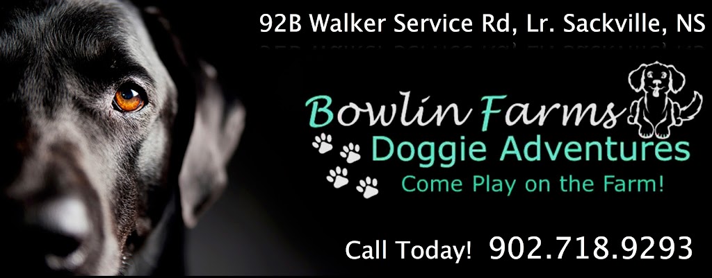 Bowlin Farms Doggie Adventures Ltd. | 96 Walkers Service Rd, Lower Sackville, NS B4C 2P7, Canada | Phone: (902) 718-9293