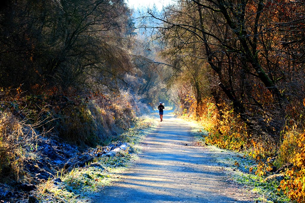 Southside Trail | Southside Trail, Burnaby, BC V3N 4G7, Canada