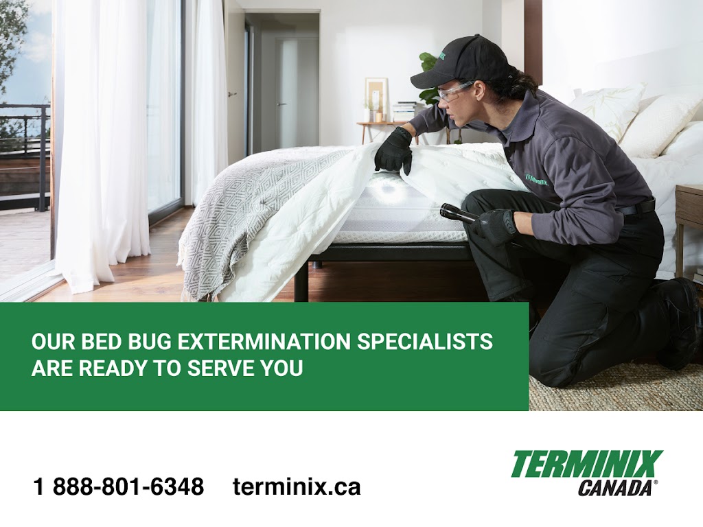 Terminix Canada Pest Control Ottawa | 199 Colonnade Rd, Nepean, ON K2E 7K3, Canada | Phone: (613) 576-4035