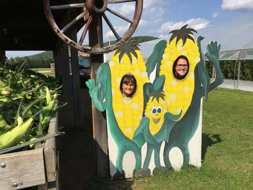 Kiosque de la Ferme Louiselle & Gaetan Brassard | 2415 Chemin des Glaïeuls, La Conception, QC J0T 1M0, Canada | Phone: (819) 686-5193