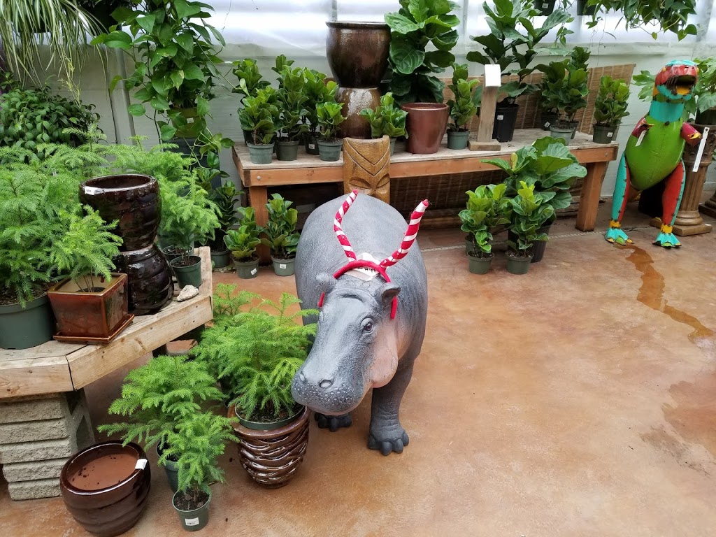 My Garden Nursery | 929 E Bakerview Rd, Bellingham, WA 98226, USA | Phone: (360) 366-8406