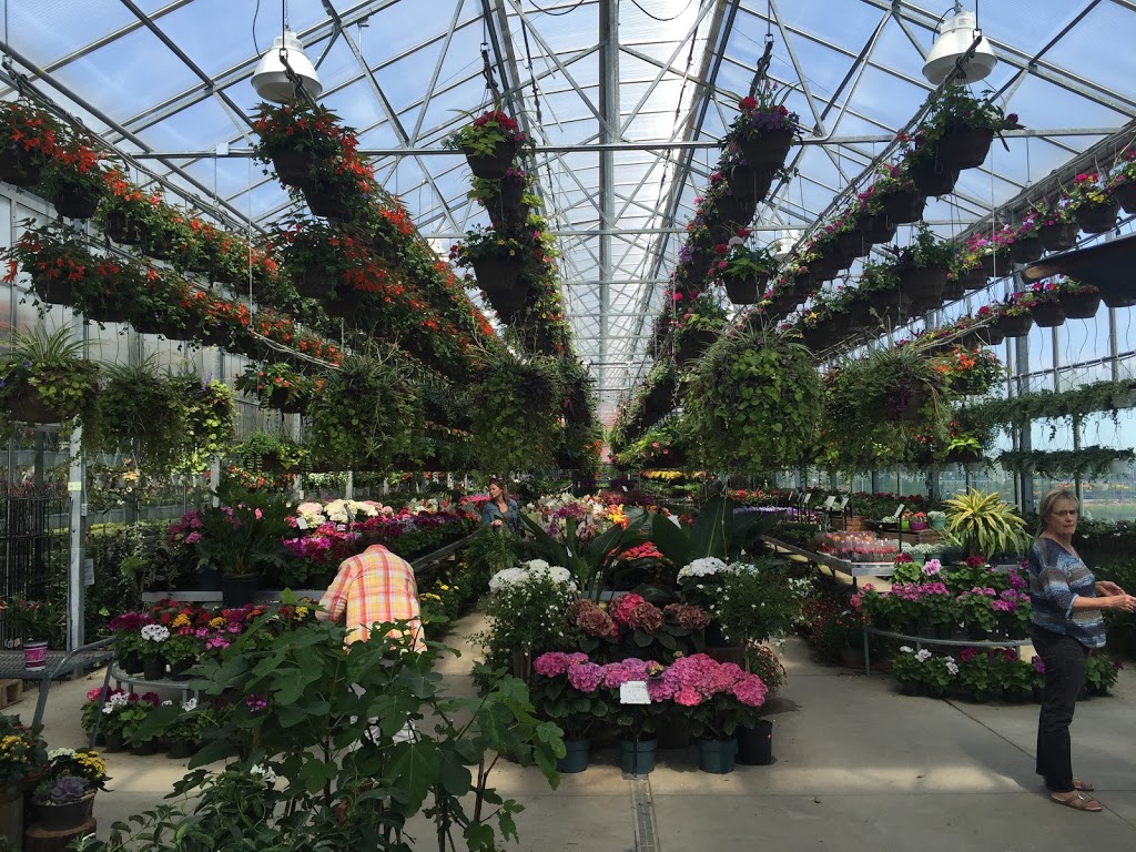 Century Home and Garden Greenhouses | 1431 ON-7A, Port Perry, ON L9L 1B5, Canada | Phone: (905) 985-2672