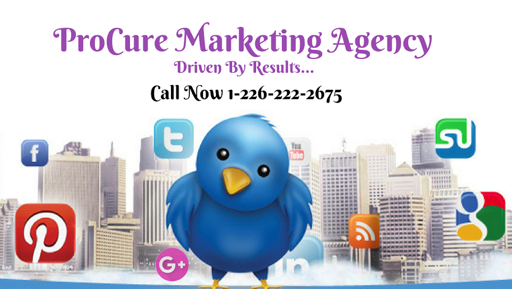 Procure Marketing Agency | 51 Church St Apt 12, Exeter, ON N0M 1S2, Canada | Phone: (226) 222-2675
