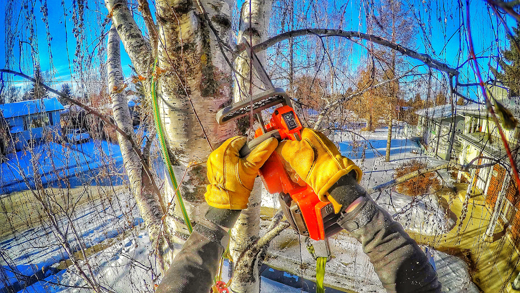 COCHRANE TREE CARE | Local Arborist | Heritage View, Cochrane, AB T4C 0G4, Canada | Phone: (403) 816-8733