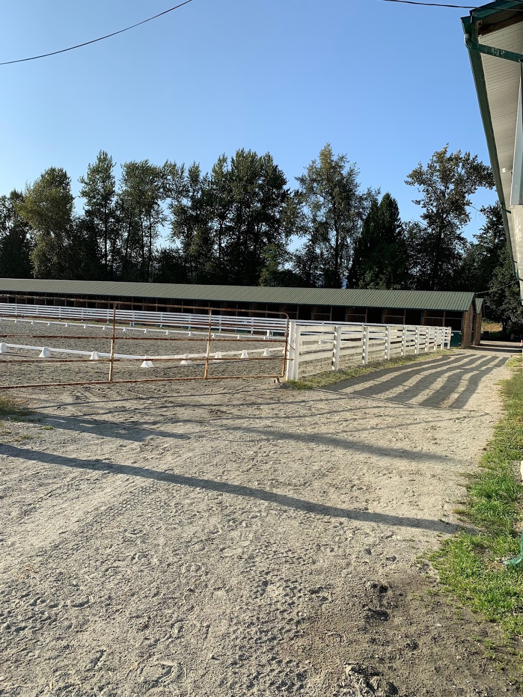 North Fraser Therapeutic Riding Association | 13345 Park Ln, Maple Ridge, BC V4R 2T1, Canada | Phone: (604) 462-7786