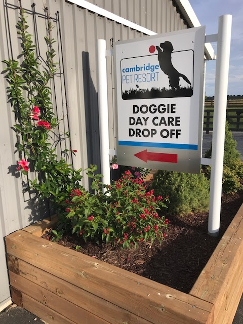 Cambridge Pet Resort | 1223 Cedar Creek Rd, Cambridge, ON N1R 5S5, Canada | Phone: (519) 623-3347