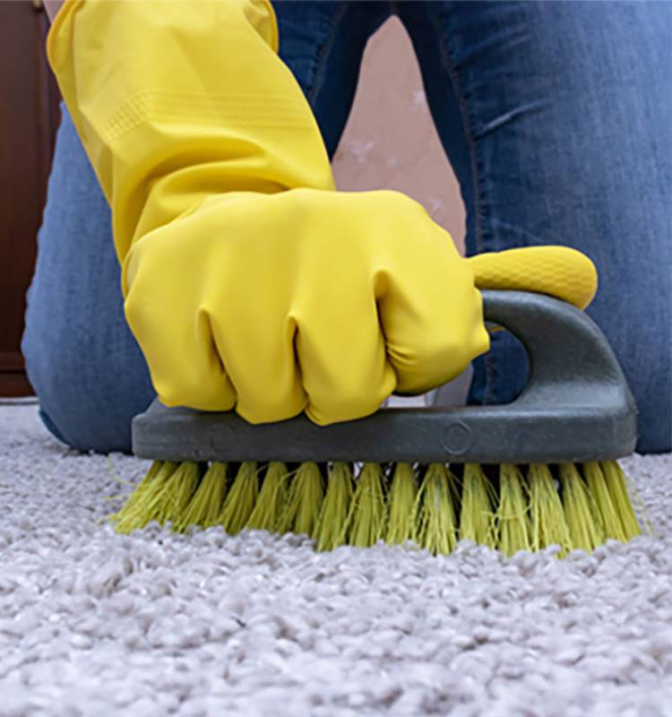 Kelsey Cleaning Services | 79 Jameson Ave, Toronto, ON M6K 2W7, Canada | Phone: (416) 880-2415