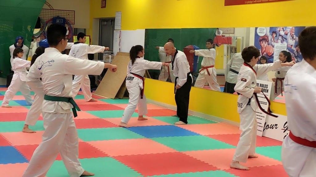 CB Chois Taekwondo School | 718 Watt St, Winnipeg, MB R2K 2S7, Canada | Phone: (204) 669-1000